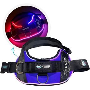 Joyride Harness LED Light Up Dog Harness 2.0 - Patent Pending Design, 3 LED Modes, Vibrant Rechargeable Lighting, Customizable Name Tag Area, and Convenient On/Off Button for Enhanced Pet Safety