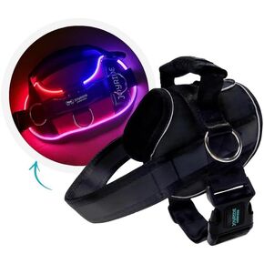سرج Joyride Harness LED المضيء للكلاب 2.0 - تصميم في انتظار الحصول على براءة اختراع، 3 أوضاع LED، إضاءة نابضة بالحياة قابلة لإعادة الشحن، منطقة بطاقة اسم قابلة للتخصيص، وزر تشغيل/إيقاف مريح لتعزيز سلامة الحيوانات الأليفة