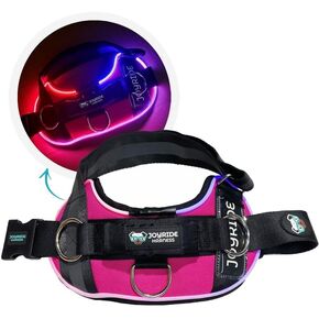 سرج Joyride Harness LED المضيء للكلاب 2.0 - تصميم في انتظار الحصول على براءة اختراع، 3 أوضاع LED، إضاءة نابضة بالحياة قابلة لإعادة الشحن، منطقة بطاقة اسم قابلة للتخصيص، وزر تشغيل/إيقاف مريح لتعزيز سلامة الحيوانات الأليفة in Saudi Arabia