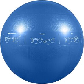 GoFit ProBall Stability Ball – Printed Exercise Ball for Yoga, Workout, Balance - Blue 55 cm,GF-55PRO