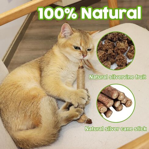 MECOOL Cat Silvervine Sticks Chew Toys,Catnip Feather Toy for Indoor Cats and Kittens,Natural and Health 6PCS in Kuwait