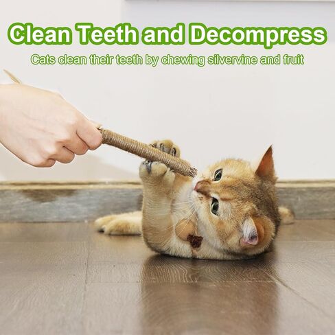 MECOOL Cat Silvervine Sticks Chew Toys,Catnip Feather Toy for Indoor Cats and Kittens,Natural and Health 6PCS in Kuwait