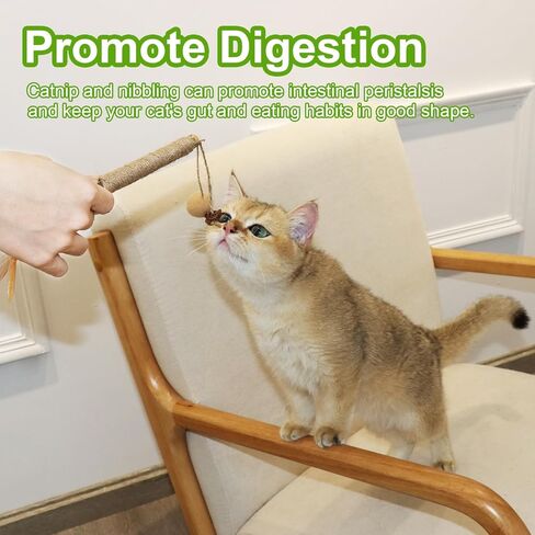 MECOOL Cat Silvervine Sticks Chew Toys,Catnip Feather Toy for Indoor Cats and Kittens,Natural and Health 6PCS in Kuwait