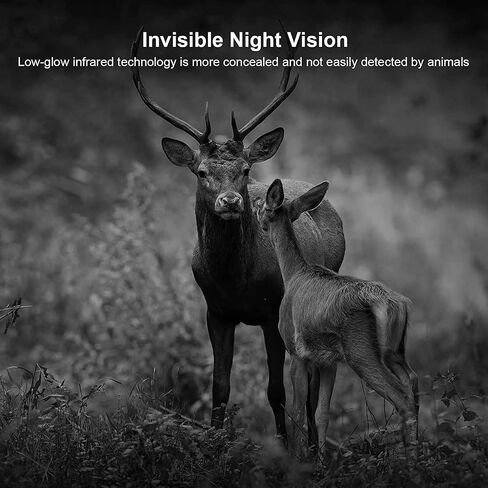 VANBAR Trail Camera 20MP 1080P Game Camera 120°Wide-Angle Motion Latest Sensor View 0.2s Trigger time IP66 Waterproof Hunting Cam Free 32G Micro SD Card in Saudi Arabia
