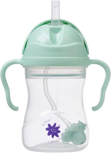b.box + Lansinoh Weighted Straw Sippy Cup for Babies 6 Months+ | Leak‑Proof, BPA‑Free, 8 oz Toddler Cup | Drink From Any Angle | Easy Grip, Dishwasher Safe | Boysenberry in Saudi Arabia