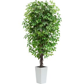 شجرة فيكوس الاصطناعية 6 قدم النباتات النباتية الداخلية طويلة المزيفة مع زارع أبيض ، أخضر الحياة المورقة المزيفة Ficus لغرفة المعيشة المنزل غرفة نوم في الهواء الطلق ديكور مكتب منزل in Kuwait