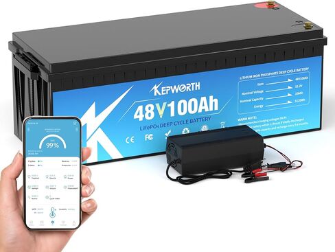 100Ah LiFePO4 Battery 12V Lithium Batteries Group 49, Built-In 100A BMS with Low-Temp Protection,4000+ Deep Cycle, for RV, Boat, Solar System, Trolling Motors etc. in Saudi Arabia