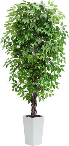 Artificial Ficus Tree 6FT Faux Plants Indoor Tall Fake Plants with White Planter, Green Lifelike Lush Fake Ficus Tree for Home Living Room Bedroom Outdoor Balcony House Office Decor in Kuwait
