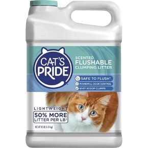 فضلات القطط برائحة منعشة ونظيفة من كاتس برايد، 10 رطل. in Kuwait