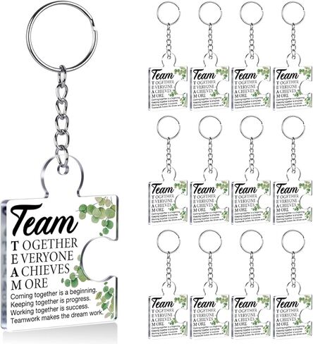 12 Pcs Team Appreciation Gifts for Coworkers Bulk, Employee Appreciation Gifts Thank You Keychain for Team Staff Teachers Volunteer, Inspirational Teamwork Gift Office Puzzle Piece Acrylic Keychains in Kuwait