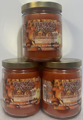 Smoke Odor Exterminator Pumpkin & Spice Candle, 13 oz - Pack of 2 in Saudi Arabia