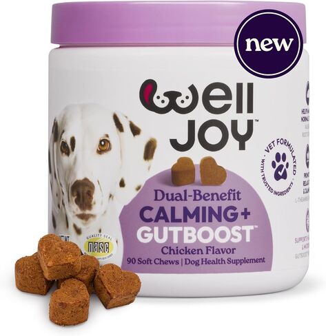 ملحق WellJoy للكلاب المهدئ + GutBoost | ملحق صحة الكلب | يعزز الاسترخاء والهدوء | تركيبة GutBoost ثنائية الفائدة | تركيبة بيطرية | صنع في الولايات المتحدة الأمريكية | نكهة الدجاج | 90 مضغة ناعمة in Kuwait