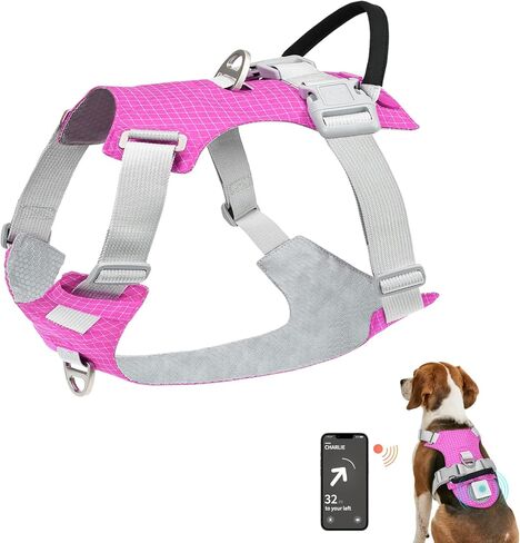 Joytale Light Up Dog Harness مع حامل Airtag، متعدد الألوان LED لا سحب الكلب تسخير قابلة للشحن للسلامة المشي ليلا، سترة خفيفة الوزن ناعمة قابلة للتعديل لتدريب الحيوانات الأليفة، الجري، Hotpink، M in Kuwait