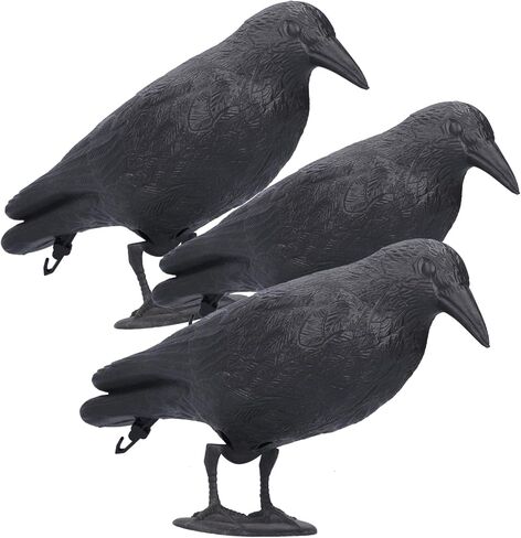Realistic Crow Decoy, Life Sized Simulation Crow Statue Hunting Bait Decoys Black Crow Figuring,Plastic Crow Decoy for Party Outdoor Garden Decoration (2PCS) in Saudi Arabia