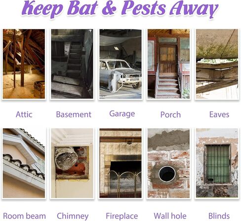 8 حزمة الخفافيش طارد في الهواء الطلق طارد الماوس القوارض ، طارد ردع الزيت النعن in Kuwait