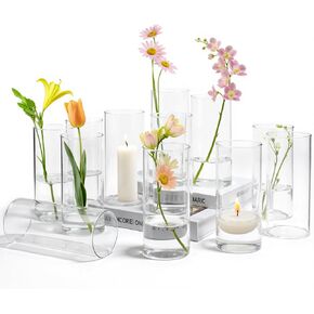 Glass Bud Vases for Centerpieces Set of 12 Small Clear Vase Modern Minimalist Decorative Flower Vases for Wedding Bridal Shower Birthday Party Baby Shower Table Decorations Home Decor in Saudi Arabia