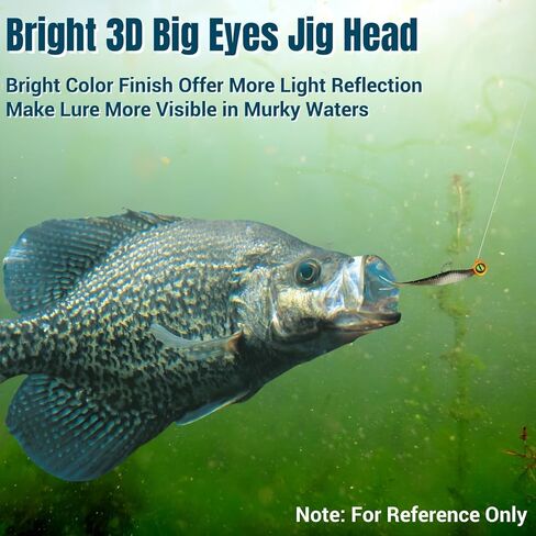 60Pcs Big Eye Crappie Jig Heads Kit, Bright Color Panfish Crappie Jigs Hook, Round Fishing Jig Head with Wired Bait Keeper 3 Sizes Assorted 1/32oz 1/16oz 1/8oz in Saudi Arabia