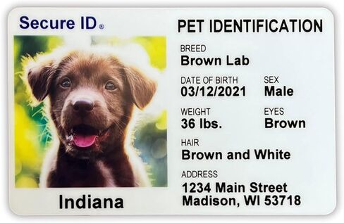 Pet ID Card Dog Cat Emergency Contact Card for Pets - Home Alone Instructions PVC with Key Tag Secure ID, LLC in Saudi Arabia