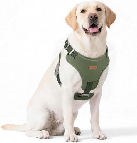 Xlife Dog Harness for XSmall Dogs - No-Pull Adjustable Vest Harness with 3D Air Cushion, Safety Buckle & No-Chock D Ring, Easy to Put On - Comfortable & Breathable for Walking and Running(Green XS) in Kuwait