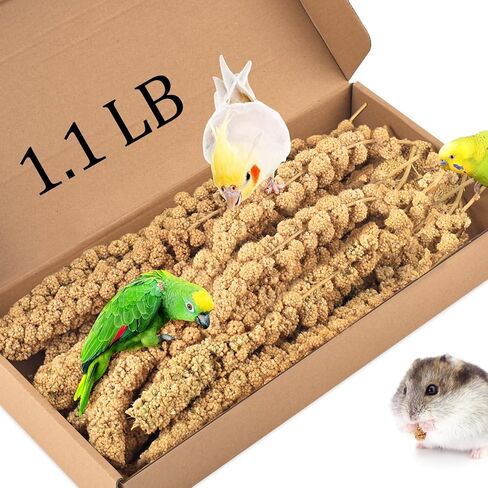 Katumo 1.1lb رذاذ الدخن علاج للطيور ، طيور الطائر المجفف بالشمس ببغاء الببغاء للبغاء الببغاء بودجي كوكاتييل in Kuwait