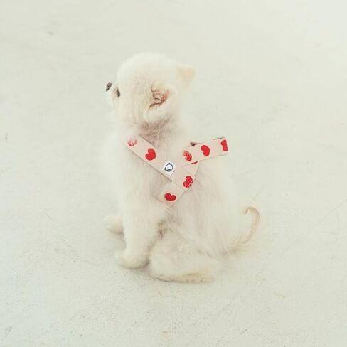 Heart Small Dog Harness-حزام ناعم ، مقطع أمامي وخلفي ، تصميم بدون نقاط ، خفيفة الوزن (العاج ، المتوسط) in Kuwait