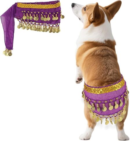 Dog Belly Dancer Skirt ، Bling Belly Dance Hip وشاح لـ Corgis الكلب التفاف مع الترتر من الترتر جرو للرقص الأليفة الأزياء لحفلات عيد الهالوين أداء الاحتفال (الوردي) in Kuwait
