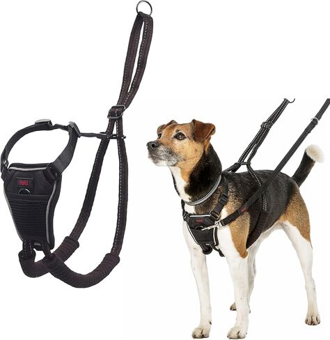 No Pull Harness - to Stop Your Dog Pulling on The Leash. Adjustable, Lightweight and Easy to Use. Reflective Dog Training Harness for Large Dogs (Size L, Burnt Orange) in Saudi Arabia