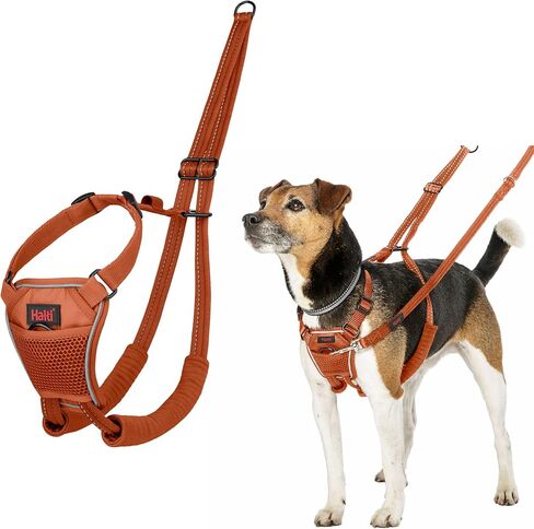 No Pull Harness - to Stop Your Dog Pulling on The Leash. Adjustable, Lightweight and Easy to Use. Reflective Dog Training Harness for Large Dogs (Size L, Burnt Orange) in Saudi Arabia
