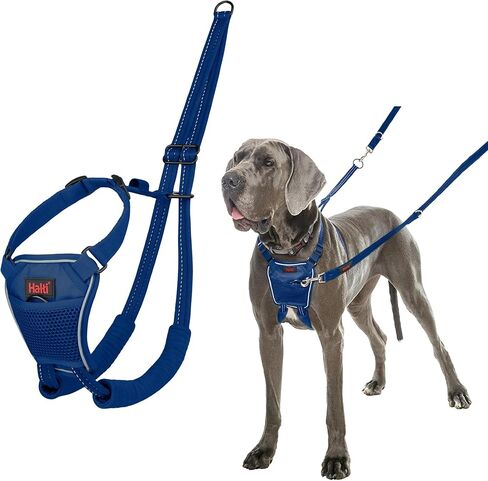 No Pull Harness - to Stop Your Dog Pulling on The Leash. Adjustable, Lightweight and Easy to Use. Reflective Dog Training Harness for Large Dogs (Size L, Burnt Orange) in Saudi Arabia