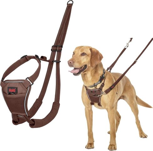 No Pull Harness - to Stop Your Dog Pulling on The Leash. Adjustable, Lightweight and Easy to Use. Reflective Dog Training Harness for Large Dogs (Size L, Burnt Orange) in Saudi Arabia
