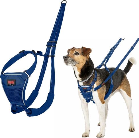 No Pull Harness - to Stop Your Dog Pulling on The Leash. Adjustable, Lightweight and Easy to Use. Reflective Dog Training Harness for Large Dogs (Size L, Desert Sand) in Saudi Arabia
