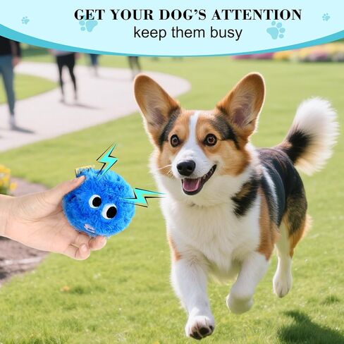 Dog Squeaky Toy, No Stuffing Plush Ball Dog Toy for Small Meduim Breed, Indestructible Puppy Chew Toys for Teething Chewing Interactive Fetch Play to Keep Them Busy, Blue, 3.1Inch in Kuwait