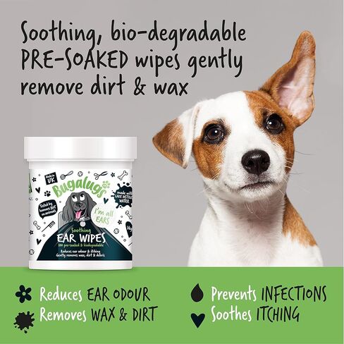 BUGALUGS مناديل مبللة لتنظيف أذن الكلاب، 100 منديل مبللة قابلة للتحلل بيولوجيًا ومبللة مسبقًا. محلول منظف لأذن الكلاب مناديل للحيوانات الأليفة يوقف اهتزاز الرأس والحكة والأذن الشمعية in Kuwait