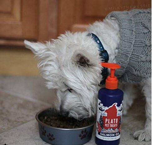 PLATO Wild Alaskan Salmon Oil Kibble Topper - Boost Dog Food with Omega 3 & 6 Fatty Acids - For Healthy Skin & Coat - 8 ounces in Saudi Arabia