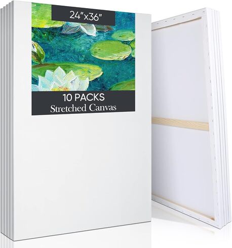 Outus 10 Pack Stretched Canvas 24 x 36 Inch Extra Large Cotton Canvases for Painting Heavy Weight Triple Primed Blank Artist Canvas for Oil Acrylic Paints(24 x 36 Inch) in Saudi Arabia