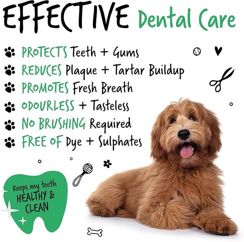 معطر أنفاس الكلاب من بوغالوغ، إضافات مائية للعناية بالأسنان. أسنان نظيفة ولثة صحية ونفس منعش - مزيل طبيعي للوحة الكلاب ومزيل الجير للأسنان. لا حاجة للتنظيف بالفرشاة (16.9 أونصة من الماء المضاف) in Kuwait