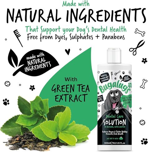 معطر أنفاس الكلاب من بوغالوغ، إضافات مائية للعناية بالأسنان. أسنان نظيفة ولثة صحية ونفس منعش - مزيل طبيعي للوحة الكلاب ومزيل الجير للأسنان. لا حاجة للتنظيف بالفرشاة (16.9 أونصة من الماء المضاف) in Kuwait