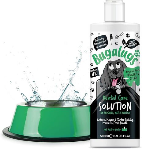 معطر أنفاس الكلاب من بوغالوغ، إضافات مائية للعناية بالأسنان. أسنان نظيفة ولثة صحية ونفس منعش - مزيل طبيعي للوحة الكلاب ومزيل الجير للأسنان. لا حاجة للتنظيف بالفرشاة (16.9 أونصة من الماء المضاف) in Kuwait