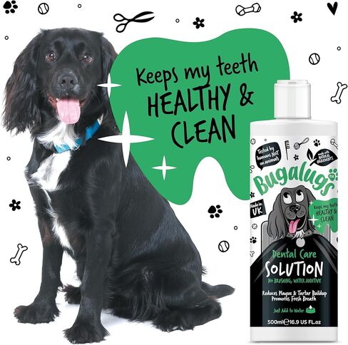 معطر أنفاس الكلاب من بوغالوغ، إضافات مائية للعناية بالأسنان. أسنان نظيفة ولثة صحية ونفس منعش - مزيل طبيعي للوحة الكلاب ومزيل الجير للأسنان. لا حاجة للتنظيف بالفرشاة (16.9 أونصة من الماء المضاف) in Kuwait