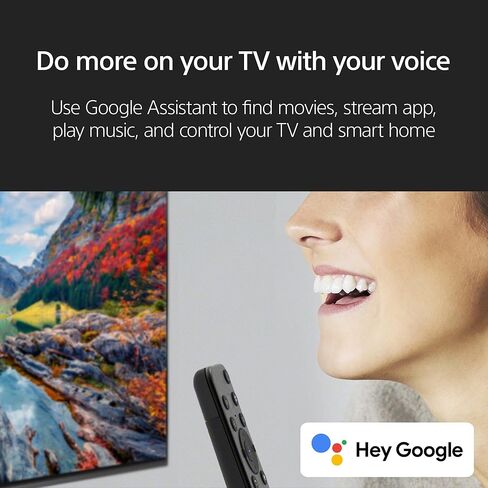 تلفزيون Sony BRAVIA 2 II 43 بوصة 4K Ultra HD LED الذكي مع تلفزيون Google وميزات حصرية لجهاز PlayStation®5 (K-43S20M2)، موديل 2025 in Kuwait