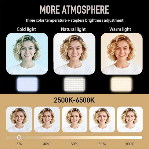 Selfie Light for Video Conference and Make Up,91 LED Clip On Light and Eye Friendly,3 Modes 10 Brightness, Rechargeable 2000mAh, Portable Compatible with Phone Laptop Webcam Zoom,Live Streaming in Saudi Arabia