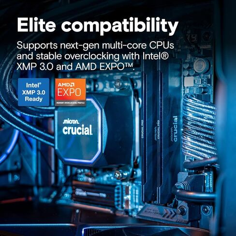 مجموعة ذاكرة الوصول العشوائي Crucial Pro DDR5 بسعة 32 جيجابايت (2 × 16 جيجابايت)، 6400 ميجاهرتز CL32، ذاكرة ألعاب سطح المكتب لرفع تردد التشغيل، متوافقة مع Intel XMP 3.0 وAMD Expo، أسود - CP2K16G64C32U5B in Kuwait