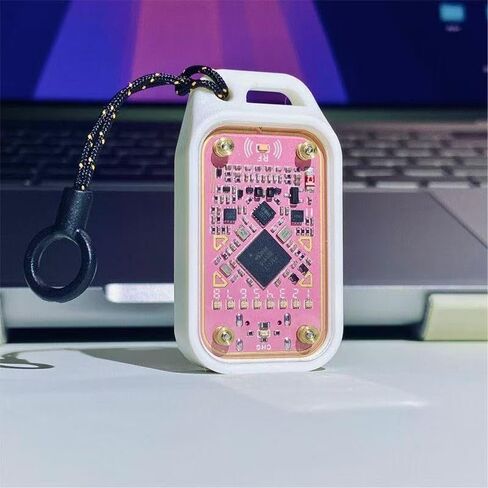 2025 New Pink Chameleon Ultra The Last RFID Emulator & NFC & RFID Key Fob Solution Opens Access Control Systems in Saudi Arabia