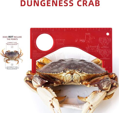 Dungeness Crab Gauge Measure with Ruler Multi Shrimp Clam Measuring Tool for Oregon, Washington and California in Saudi Arabia