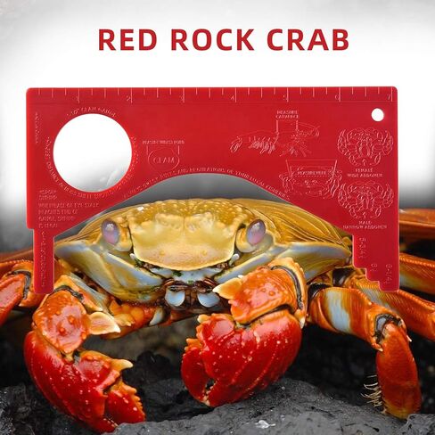 Dungeness Crab Gauge Measure with Ruler Multi Shrimp Clam Measuring Tool for Oregon, Washington and California in Saudi Arabia
