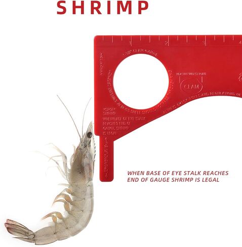 Dungeness Crab Gauge Measure with Ruler Multi Shrimp Clam Measuring Tool for Oregon, Washington and California in Saudi Arabia