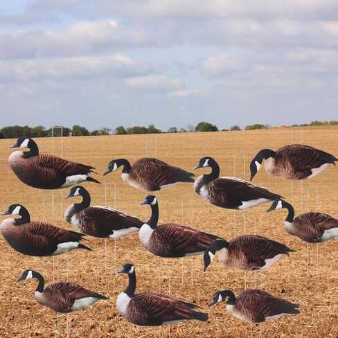 Goose Silhouette Decoys with Metal Stakes Goose Motion Decoys Set Outdoor Hunting Silhouette Stackable Realistic Vivid Easy to Carry for Field Pond in Kuwait