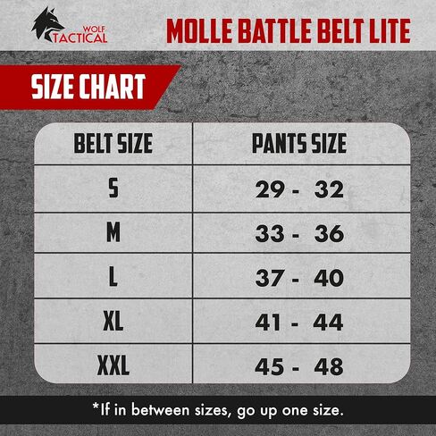 WOLF TACTICAL Molle Battle Belt Lite - 1.75 بوصة حزام القتال التكتيكي سريع التحرير in Kuwait