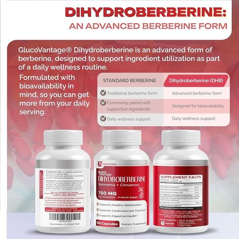Dihydroberberine - Glucovantage - Super Berberine 760 mg مع صالة القرفة فينجيما الحلبة - الحد الأقصى للامتصاص - دعم صحة الأمعاء ، التمثيل الغذائي - غير الكائنات المعدلة وراثيًا ، خالية من الغلوتين - مصنوعة واختبارها في الولايات المتحدة الأمريكية in Saudi Arabia