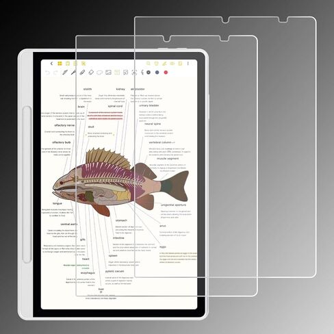 واقي شاشة مضاد للتوهج لجهاز XPPen Magic Note Pad Tablet مقاس 10.95 بوصة (2025) | مضاد لبصمات الأصابع | مقاوم للخدش | ملمس الورق | فيلم ناعم نانو غير لامع من PET | عبوتان | (غير لامع) in Kuwait